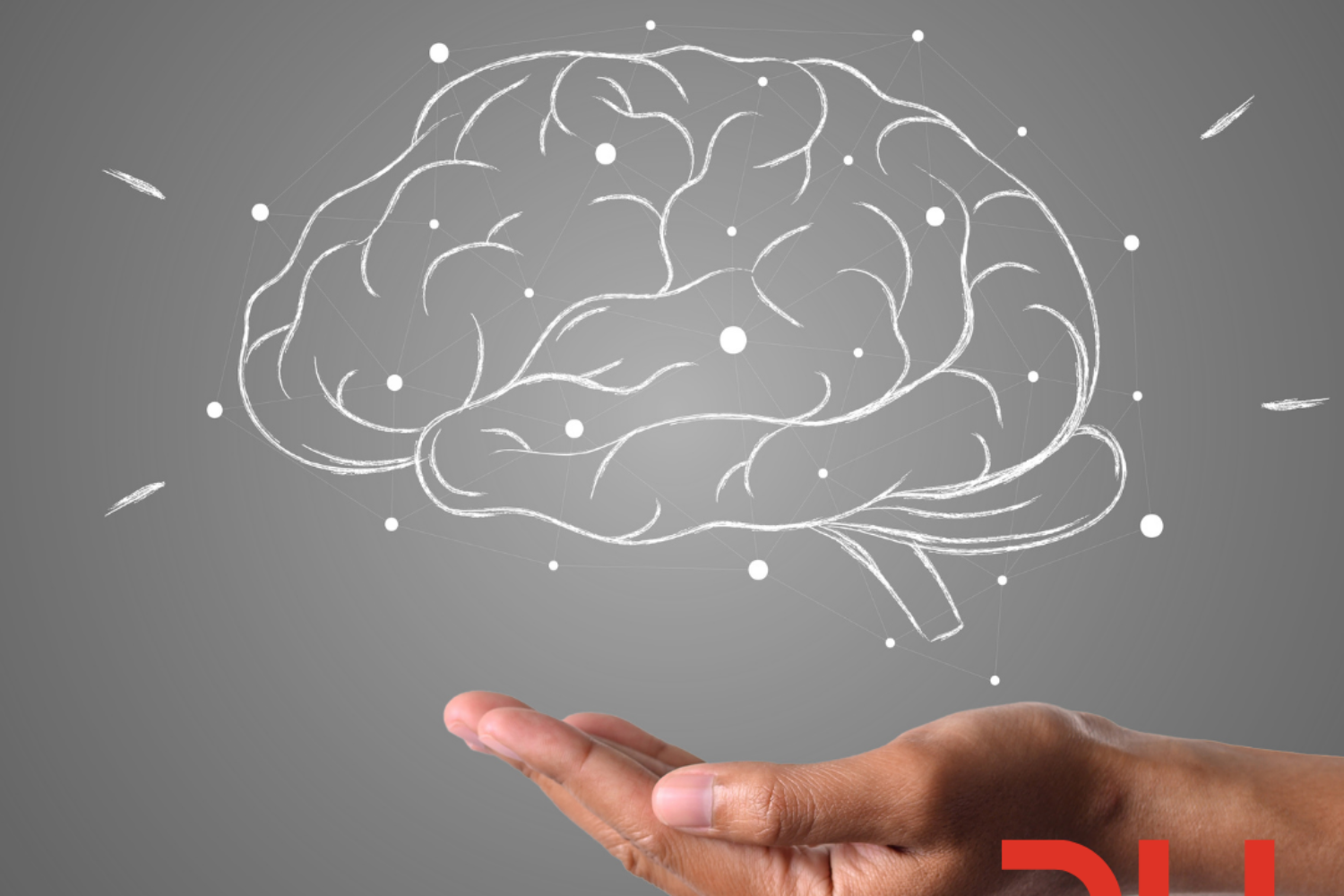 Marka İsimlendirme Stratejisi Nasıl Belirlenir