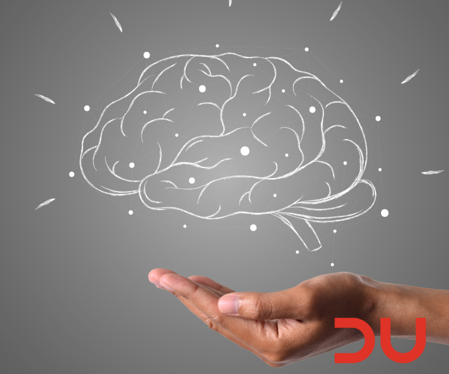 Marka İsimlendirme Stratejisi Nasıl Belirlenir